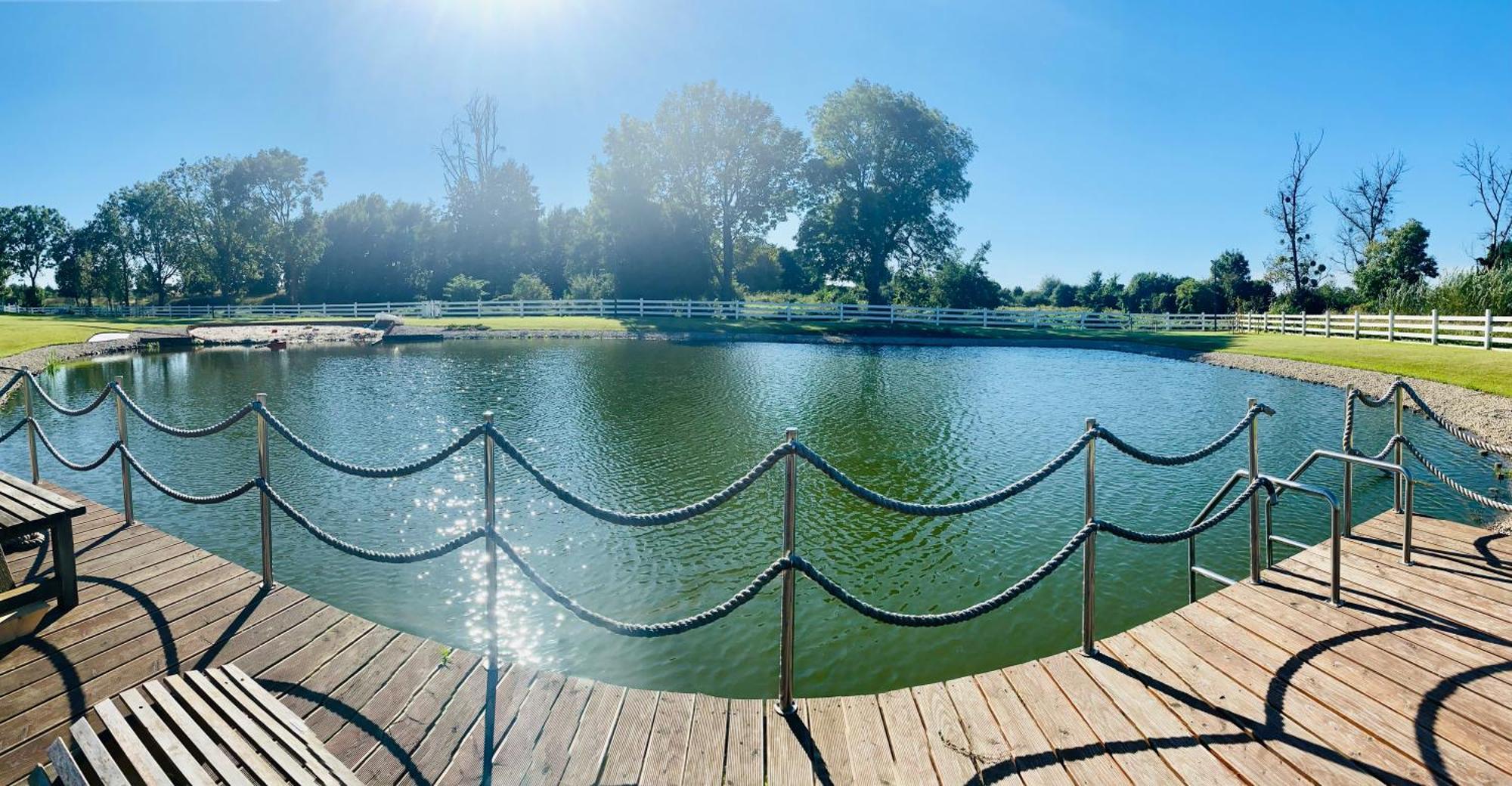 Lisi Ogon Zanurzeni W Naturze Exterior foto